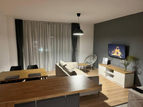 Sunlit Elegance Escape Apartment